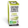 Cristaux d'huiles essentielles BIO à cuisiner, Fenouil - 10g - Aromandise