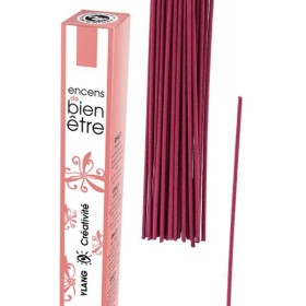 Encens japonais, Aromambiance, Parfum et désodorise - Ylang - 30pces - Les Encens du Monde