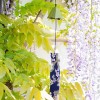 Jouet du vent japonais en fonte, Campanule - Vert - 1 pce - Aromandise