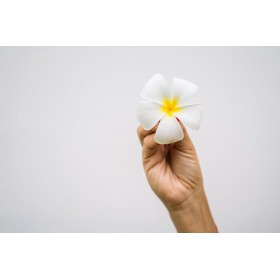 Déodorant crème Suisse & BIO au bicarbonate, Frangipanier - 60g - Curenat